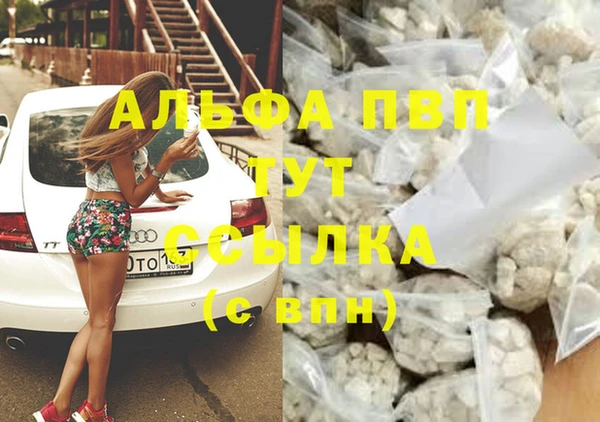стафф Инсар