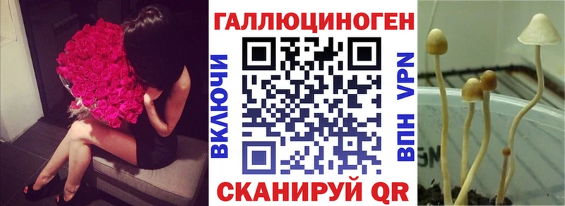 Купить  Ишимбай  Галлюциногенные грибы Psilocybe 